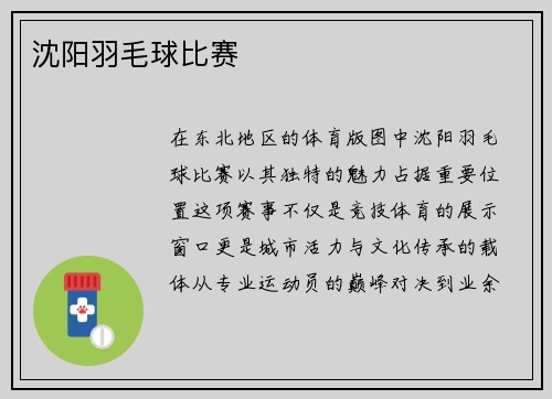 沈阳羽毛球比赛
