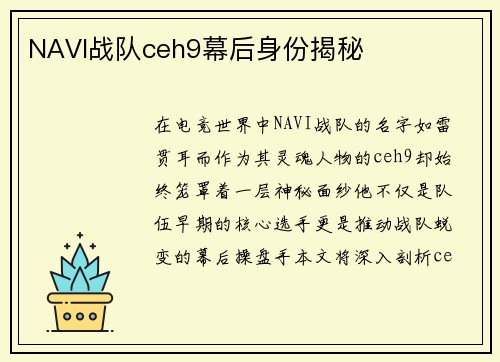NAVI战队ceh9幕后身份揭秘